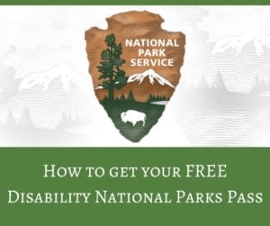 National park service logo with mountains and trees for disability access.
