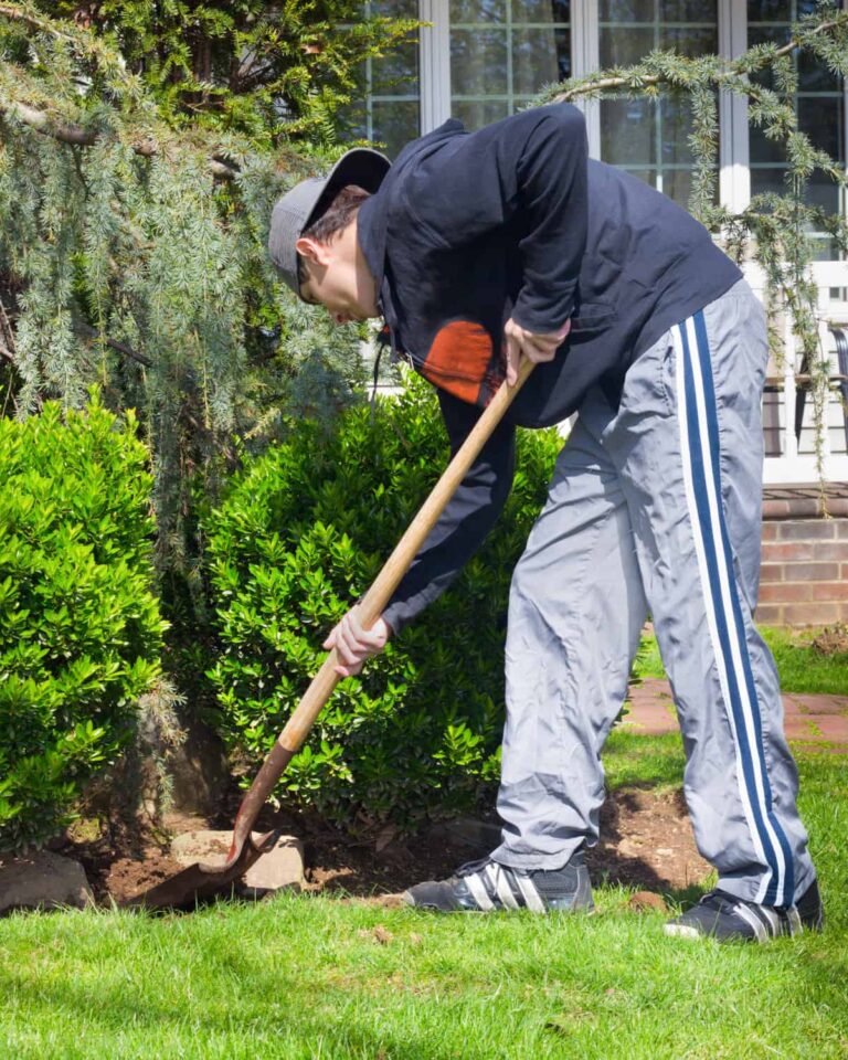 A man teaching executive functioning through chores with a shovel.