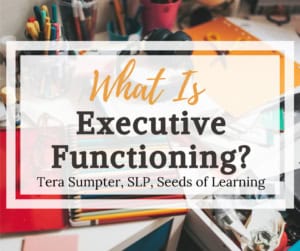 Desk with scattered office supplies and papers, overlaid with text: "what is executive functioning? Tera sumpter, slp, seeds of learning. Learn what is executive function in child development and its impact on learning.