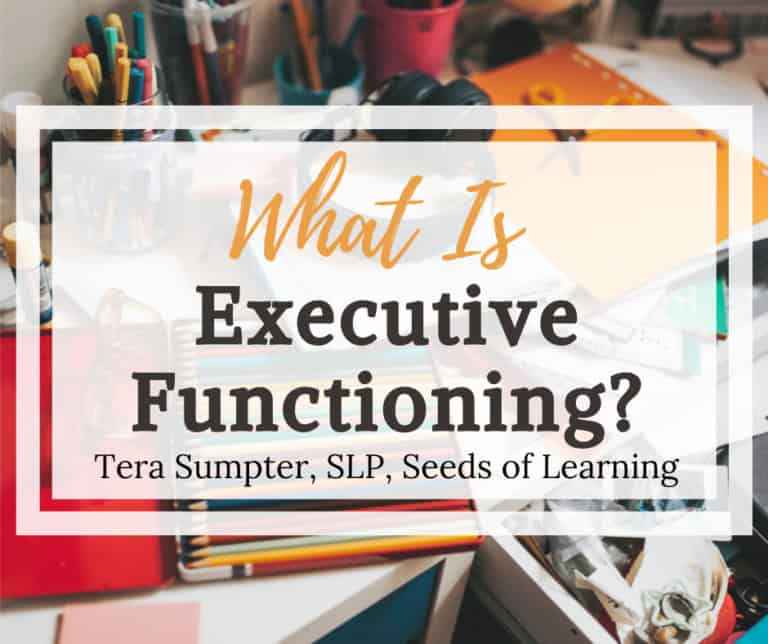 Desk with scattered office supplies and papers, overlaid with text: "what is executive functioning? Tera sumpter, slp, seeds of learning. Learn what is executive function in child development and its impact on learning.