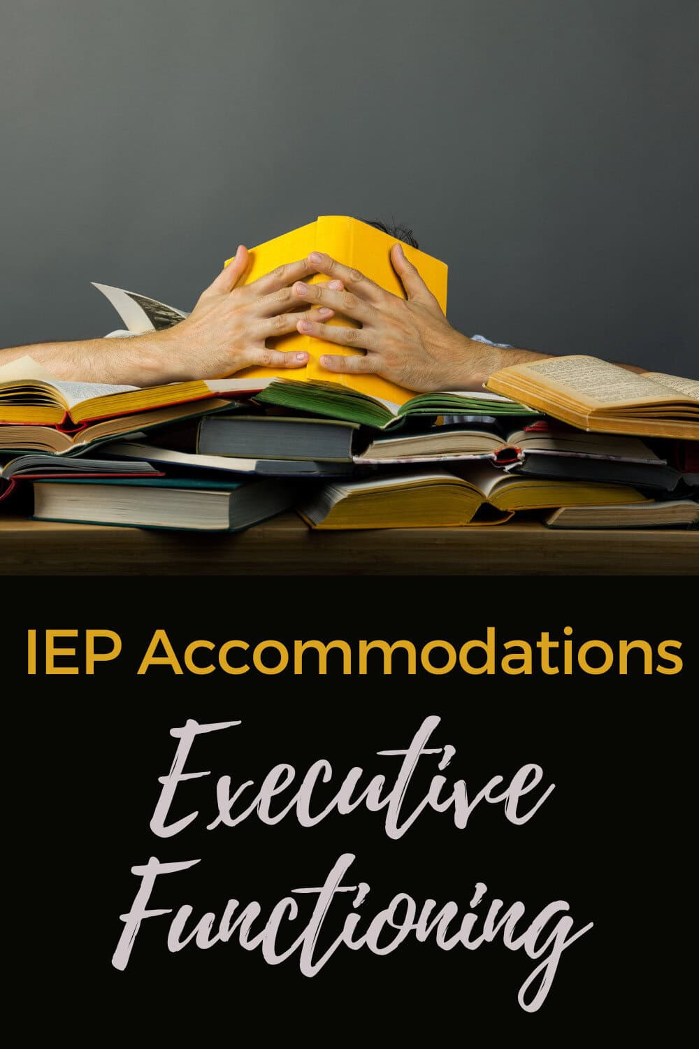 This description focuses on iep accommodations for executive functioning.