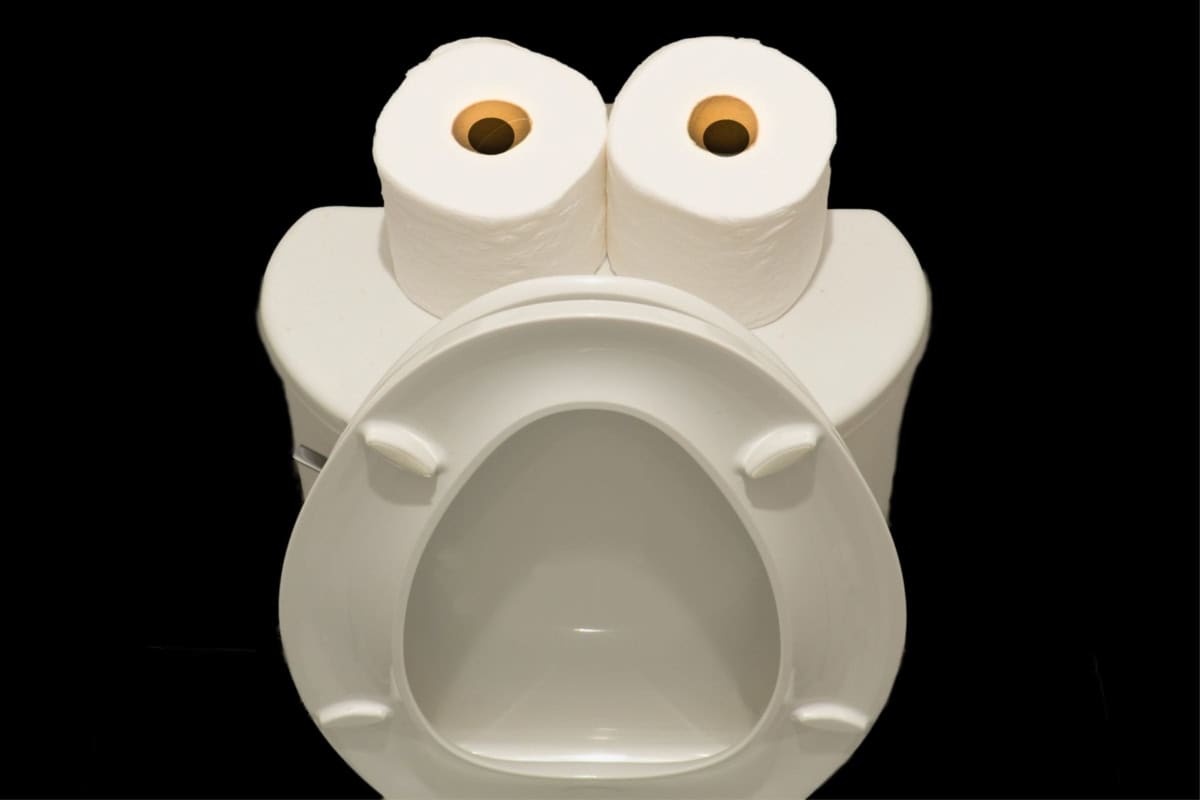 3 sample student toilet protocols for an iep (pdf) 2 Two rolls of toilet paper placed on the tank of a white toilet, adhering to toilet protocol for iep, against a black background, creating an appearance reminiscent of eyes over an open mouth.