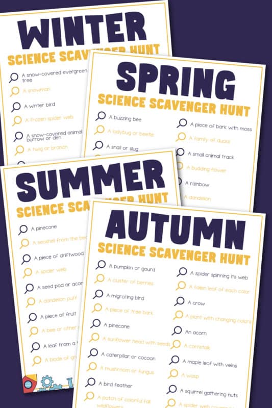 Outdoor scavenger hunt for kids: 4 pdf pages of ideas 1 Set of four colorful pdf posters for kids' outdoor scavenger hunts, each with a list of natural items to find.