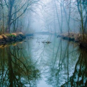 A foggy forest scene with bare trees and their reflections in a calm, narrow river running through the center, providing a serene escape for parents seeking solace and reflection.