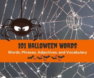 Halloween spider and web with a book cover about 101 halloween words.