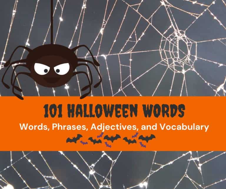Halloween spider and web with a book cover about 101 halloween words.