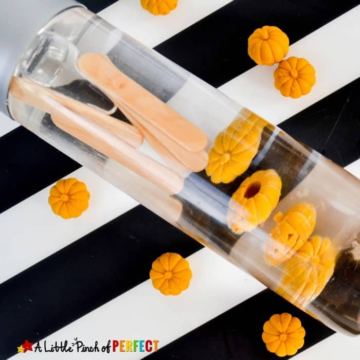 A clear bottle filled with water and plastic orange pumpkins is placed on a black and white striped surface, surrounded by small pumpkin decorations—perfect for halloween sensory play or other creative non-food ideas.