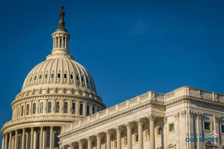 The image shows the dome and upper facade of the united states capitol building against a clear blue sky, symbolizing the importance of special needs parent lobbying efforts in shaping national policy.