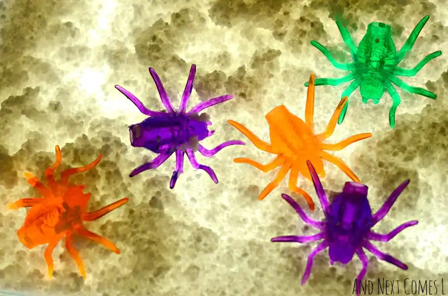 A group of colorful plastic spiders, perfect for halloween sensory play or other non-food ideas, adds a fun twist to your halloween activities.