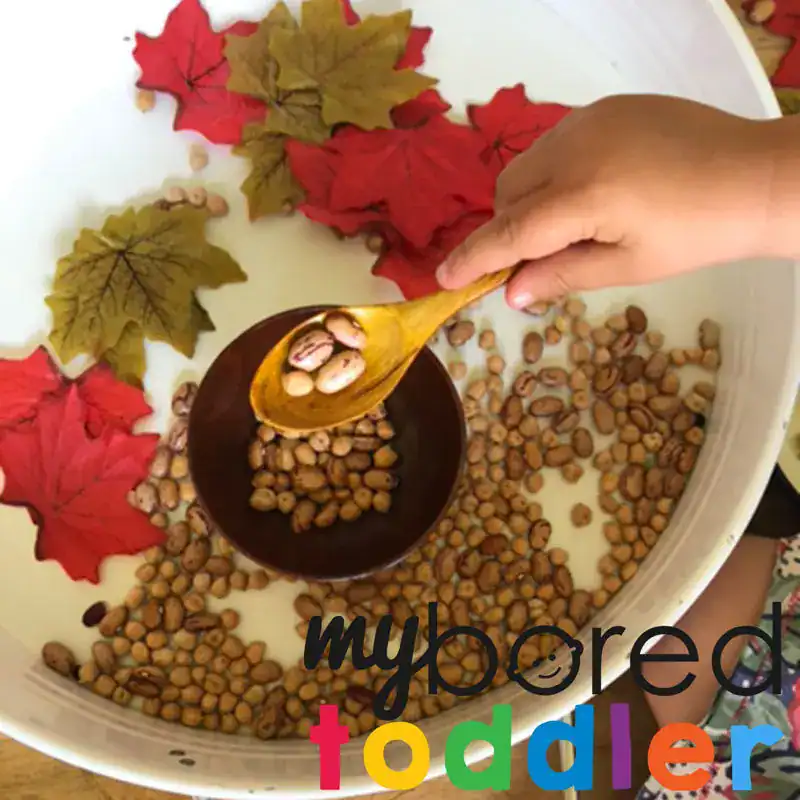 A child uses a wooden spoon to scoop beans from a bowl of water filled with dried beans and artificial autumn leaves, creating a fun fall sensory bin for kids activities.