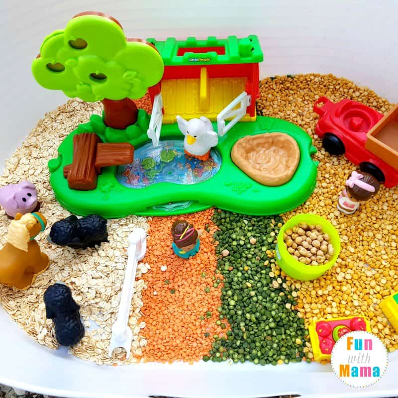 A sensory bin with a toy farm set, animal figurines, and sections of dried oats, lentils, split peas, and chickpeas in a white container—perfect for fall sensory bins and kids sensory play.