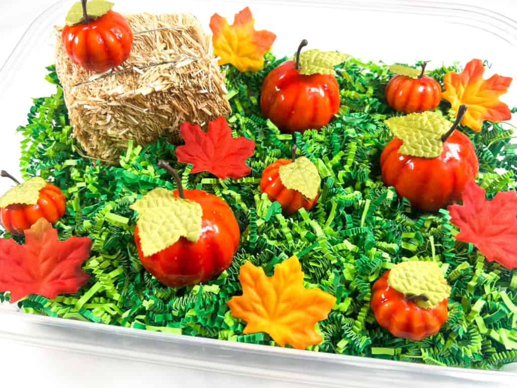 Small artificial pumpkins and leaves are arranged on green shredded paper with a mini hay bale in a clear plastic tray, creating a fall-themed decorative display—perfect for kids’ fall sensory bins.