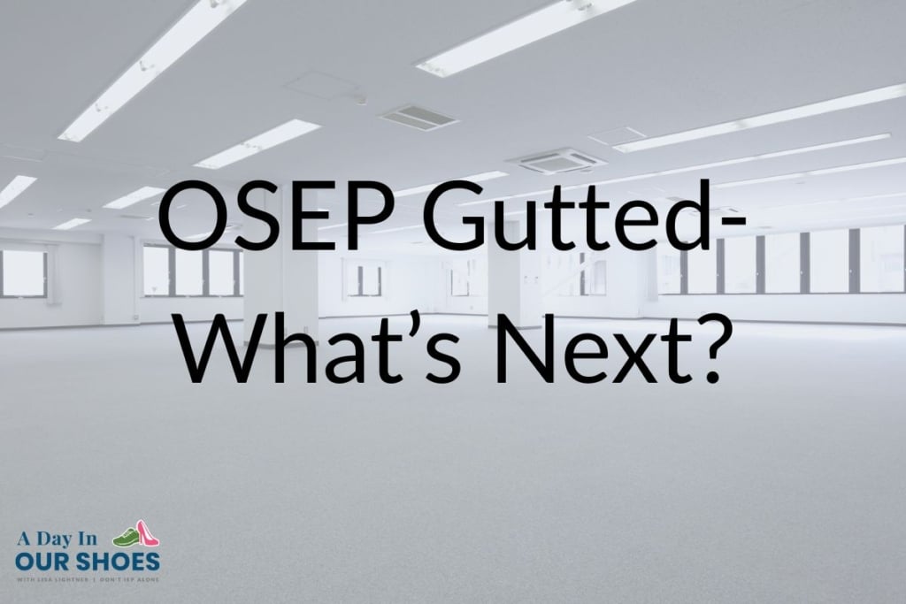 An empty office space with large windows and ceiling lights, overlaid with the text "osep gutted- what’s next? " and the logo for a day in our shoes, highlights concerns for parents and iep decisions after recent osep changes.