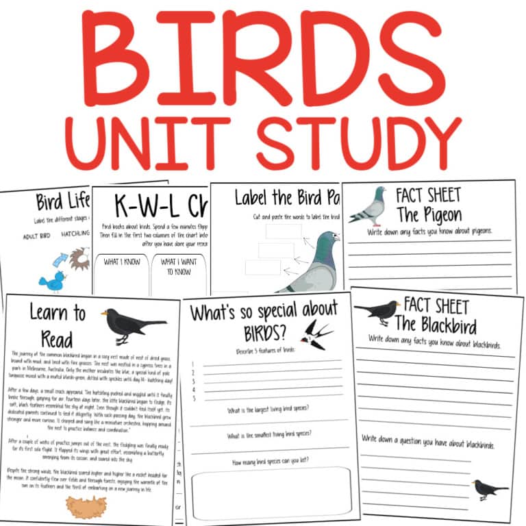 Bird study unit for elementary students with printable activities and fact sheets.