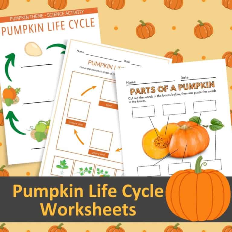 Pumpkin life cycle worksheets and parts of a pumpkin activities for kids.