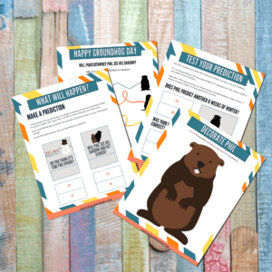 Groundhog day activities