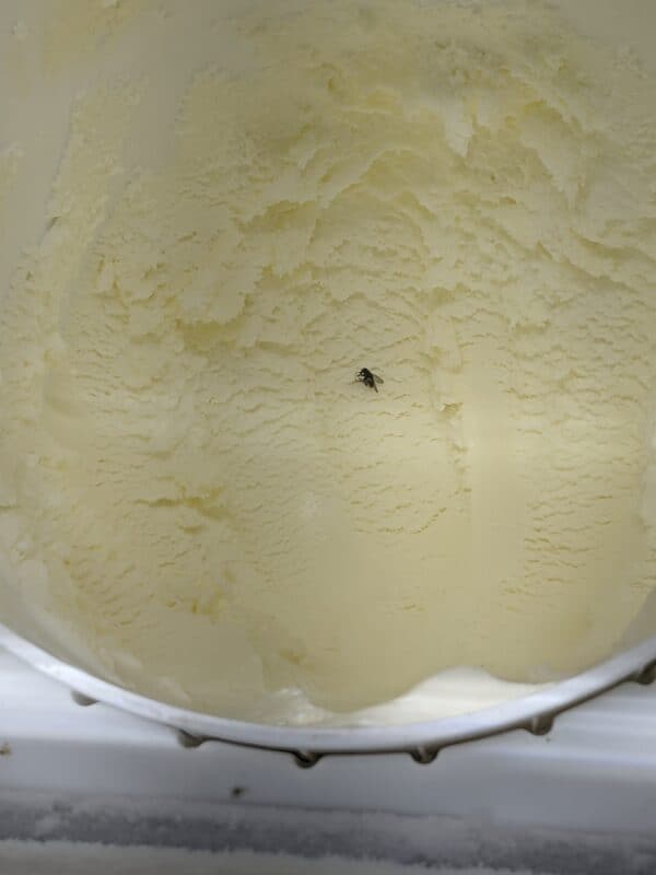 Deep creek lake md | why you should avoid this shockingly inaccessible bucket-list bust. 6 Fly in ice cream