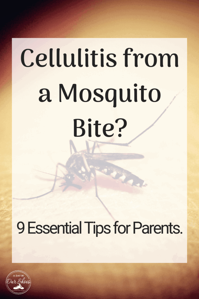 Cellulitis insect bite tips for parents for kids showing a photo of a mosquito