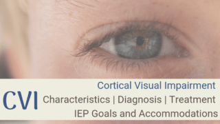 500+ Practical IEP/504 Accommodation and Strategy Ideas.