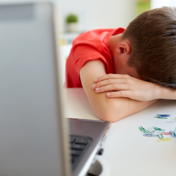 Child denied an iep because his grades are fine