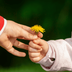 Children who are raised to be kind grow into kind and caring adults.