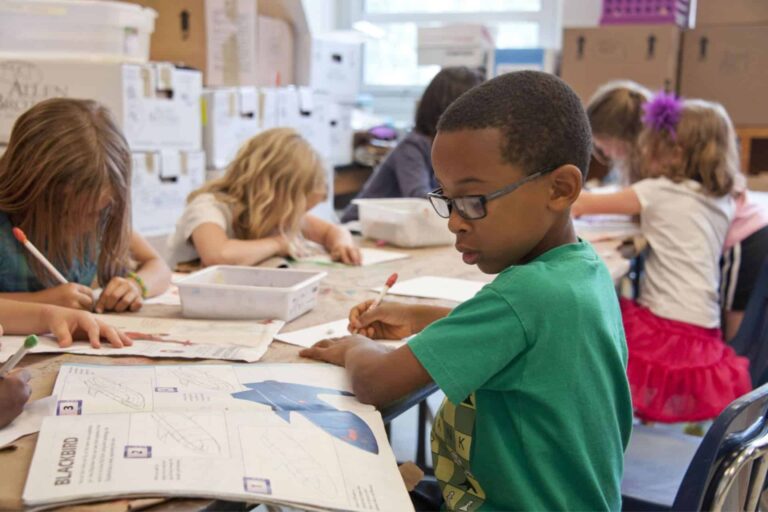 What is universal design for learning